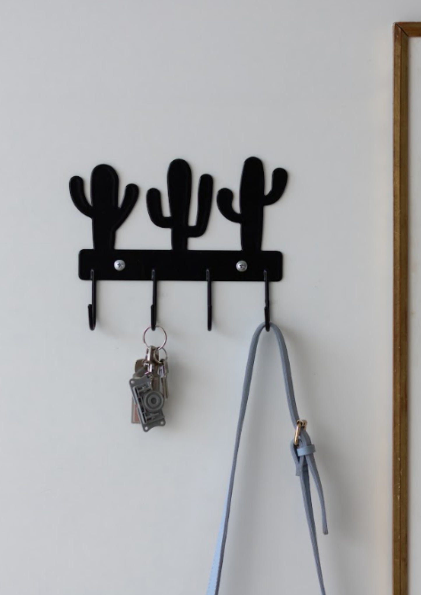 Gancho de Pared - Cactus